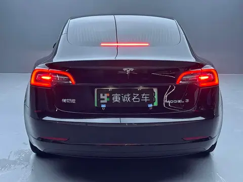 Tesla Model 3 2020款 改款 长续航后轮驱动版, фото 4