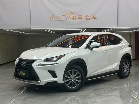 Lexus Nx 2018款 300 前驱 锋行版, фото 1