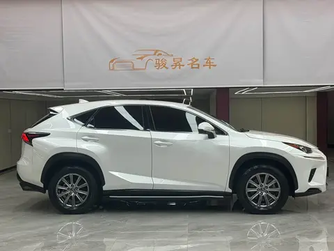 Lexus Nx 2018款 300 前驱 锋行版, фото 4