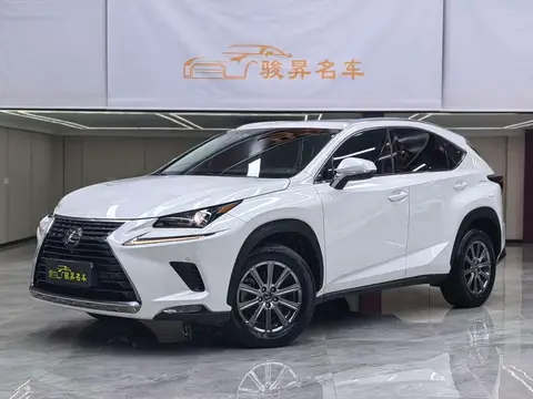 Lexus Nx 2018款 200 全驱 锋尚版 国VI, фото 1