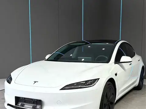 Tesla Model 3 2026款 后轮驱动版, фото 1