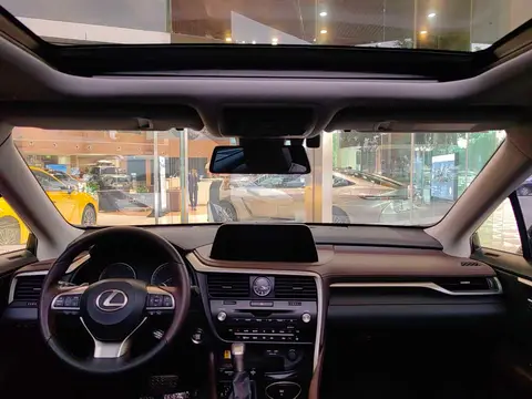 Lexus Rx 2020款 改款 300 四驱典雅版, фото 3