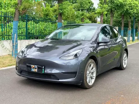Tesla Model Y 2022款 后轮驱动版, фото 1
