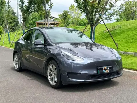 Tesla Model Y 2022款 后轮驱动版, фото 3